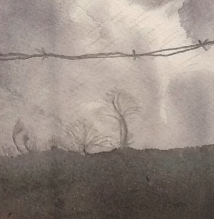 15th February. Rain mitigated temporarily by hail