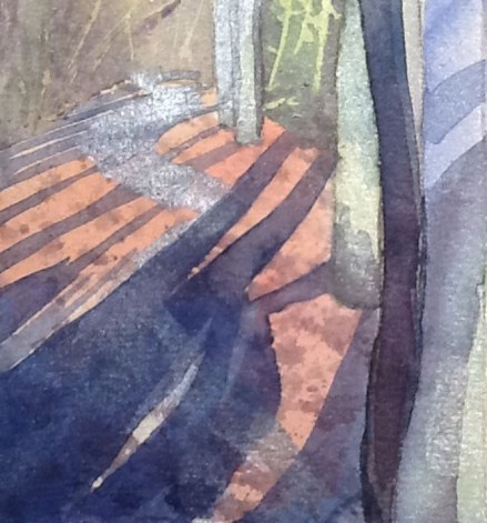 15th February. Glittering path through the post rain woods.