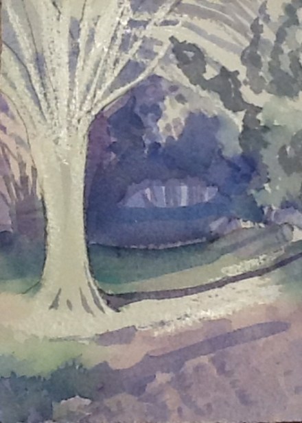 Ethereal light on the dog walk this morning