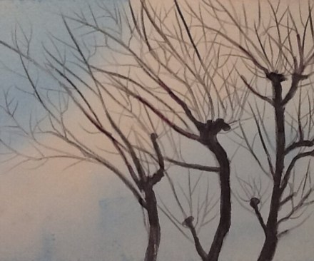 13th February 2014, silhouettes of pollarded ash.