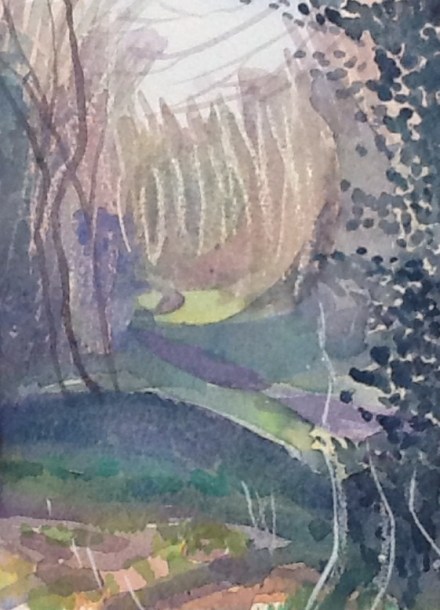 It really felt spring-like on the dog walk this morning