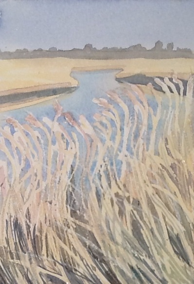 Sun on the reeds yesterday in Snape Maltings