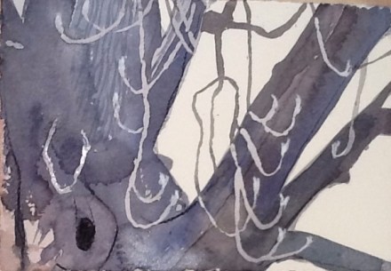 Horse chestnut leaves ready to burst