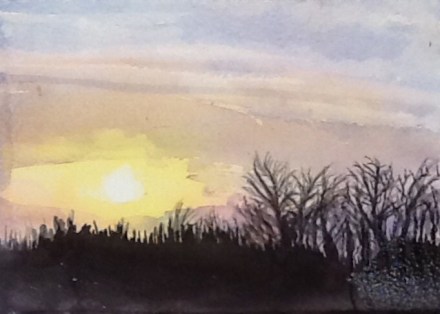 Sunset this afternoon 