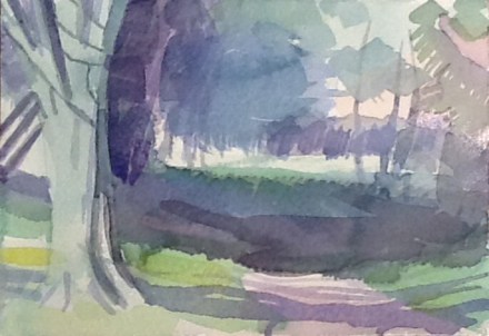 Long soft blue shadows on the dog walk