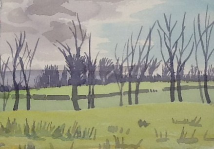 Windswept picnic spot on The High Weald