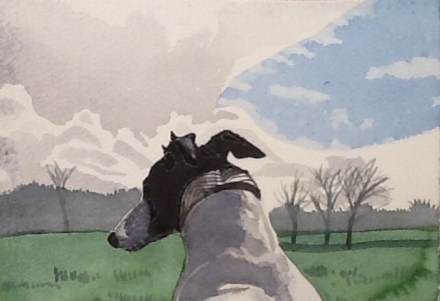 7th birthday picnic for Stevie