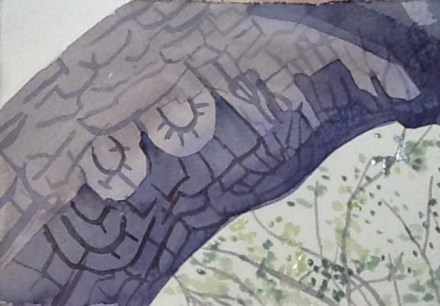 Amazing weird cracked bark on a horse chestnut branch