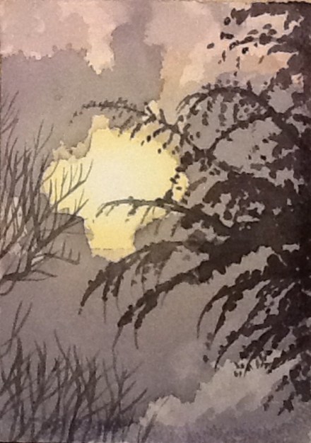 The cypress against the morning sky