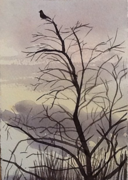 Checking out the nest site