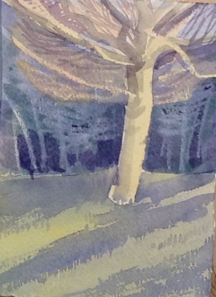 The hornbeams are such wonderful colours at the minute