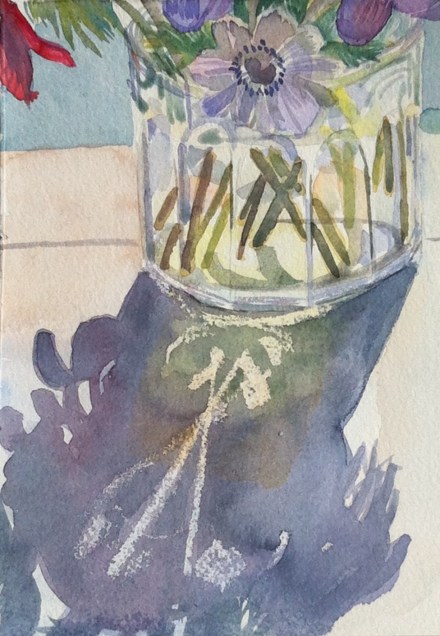 The anemone jar this morning