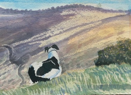 A well earned rest on the Zennor to St Ives coast path