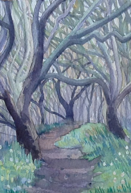 The Magical Part of the Lamorna Walk