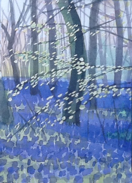 Freshly hatched beech leaves: just as exciting as the bluebells.