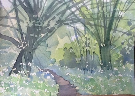 The froth of cow parsley