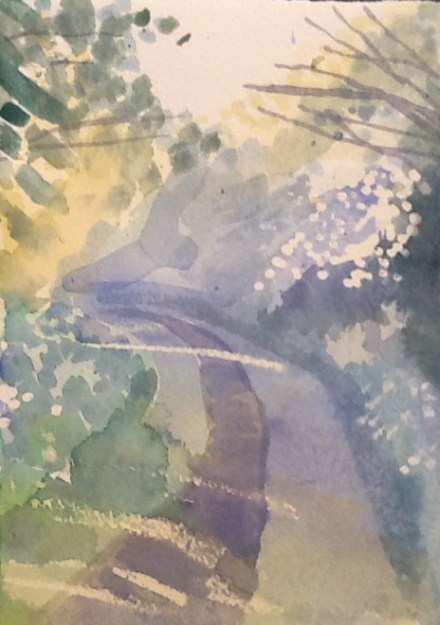 Hawthorn and cow parsley