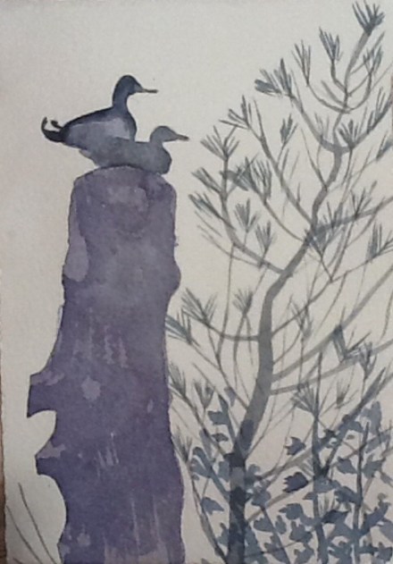 Ducks high up on a stump