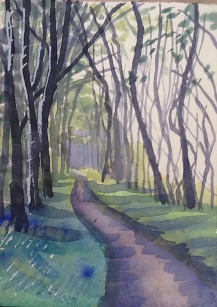 The Cleveland Way above Osmotherly