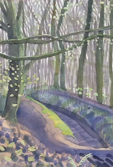 Up through the beeches