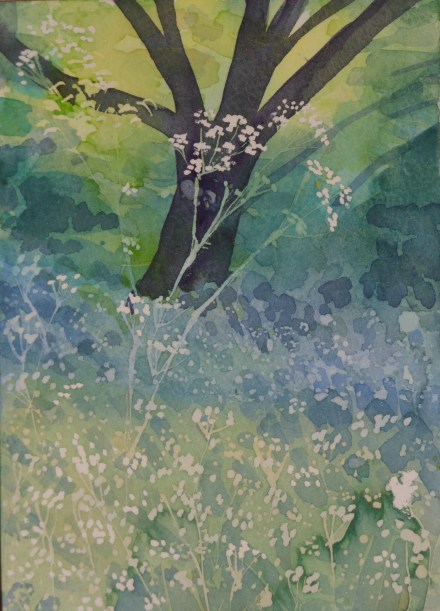 The Magic of Cow Parsley