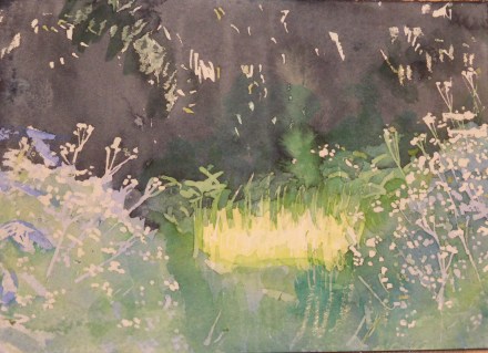 Sunspot in the long grass