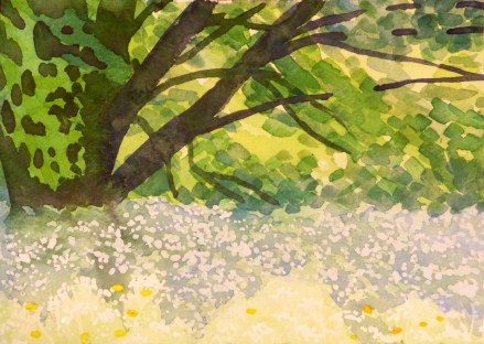 Hornbeam in a foaming sea of cow parsley