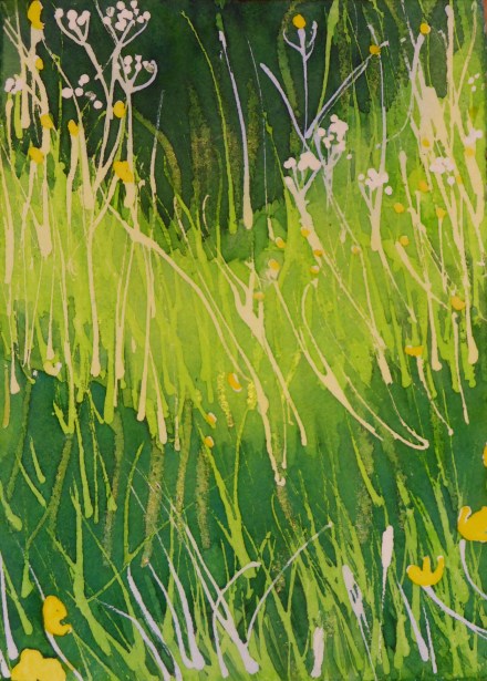 Buttercups in the long grass