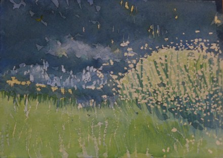 Morning light, cow parsley