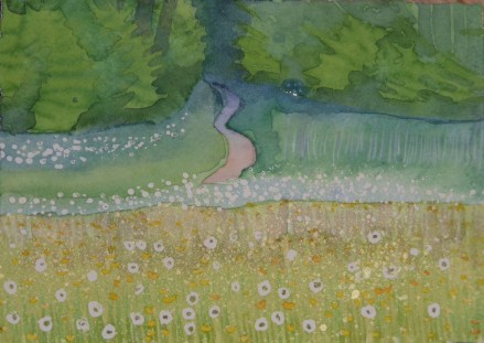 Dandelion clocks, Happy Valley