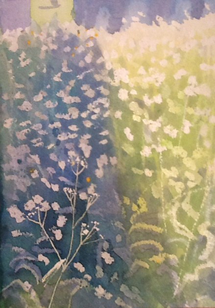 Light and shade on the last of the cow parsley