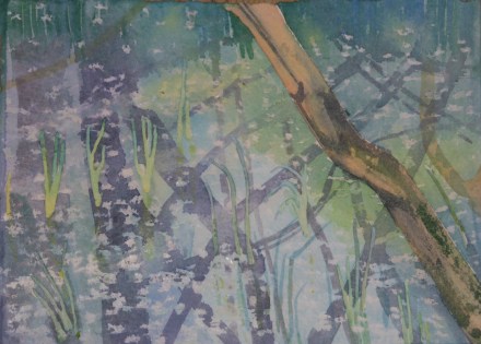 Willow Fluff Floats on The Trap. Ground Swamps 2