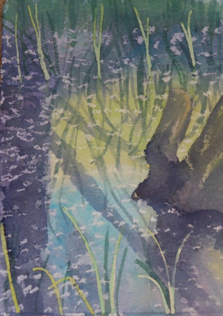 Willow Fluff floats on the Trap Ground Swamps 3