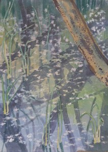 Willow Fluff Floats on the Trap Ground Swamps