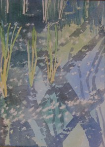 Willow fluff floats on the trap grounds ponds 5