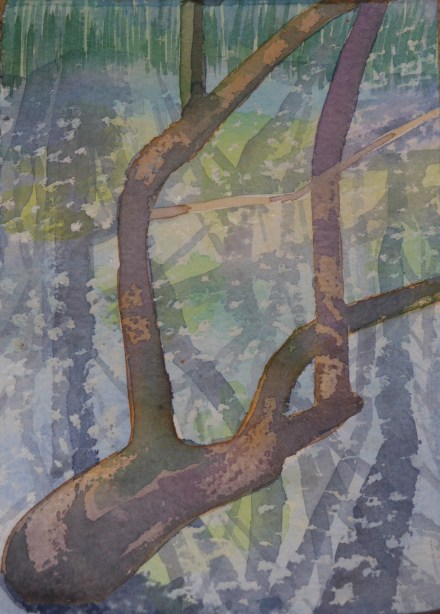 Willow fluff floats on the Trapground Swamps