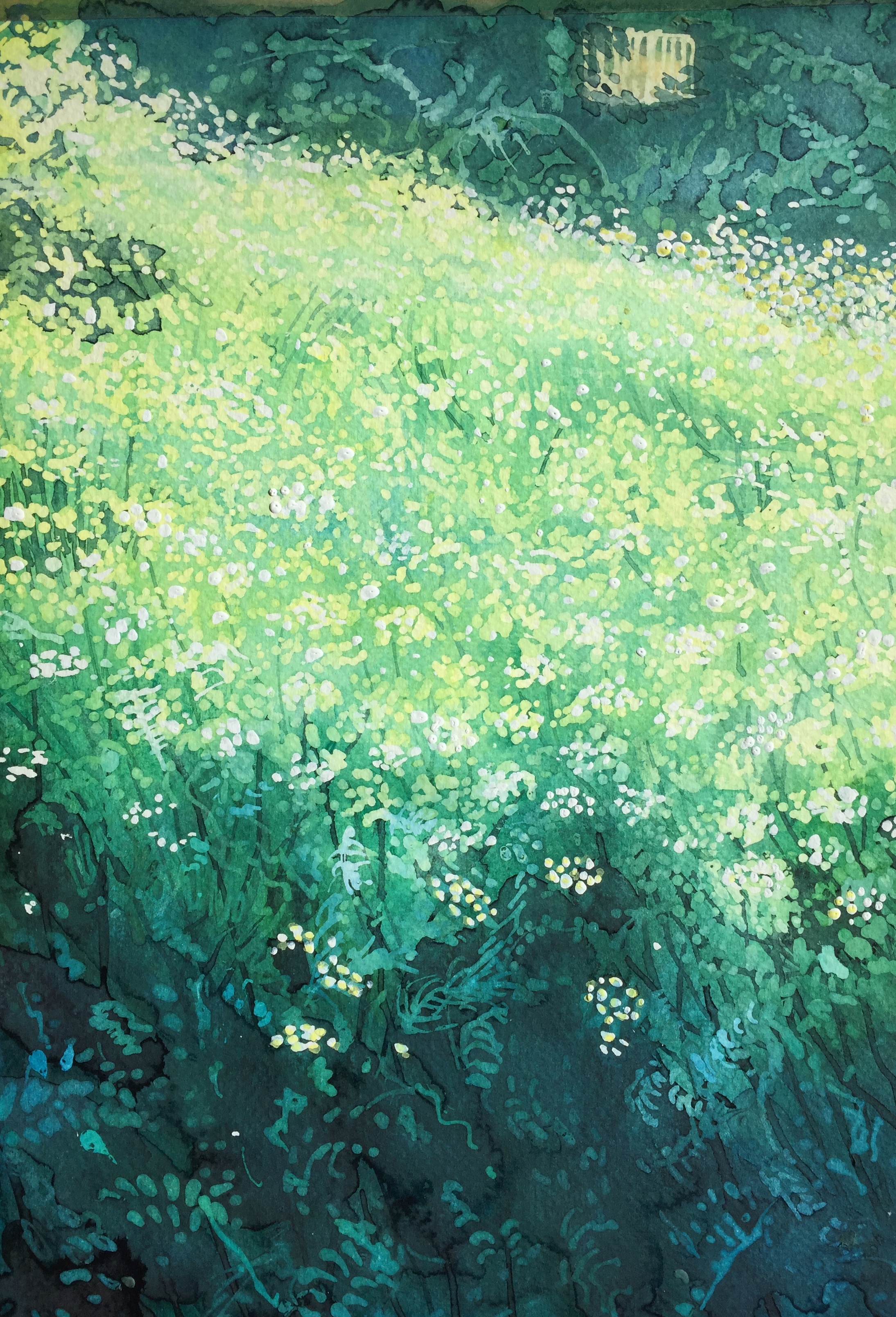 72665361-4DF0-438C-87B1-91284DA1AFED_1_201_a