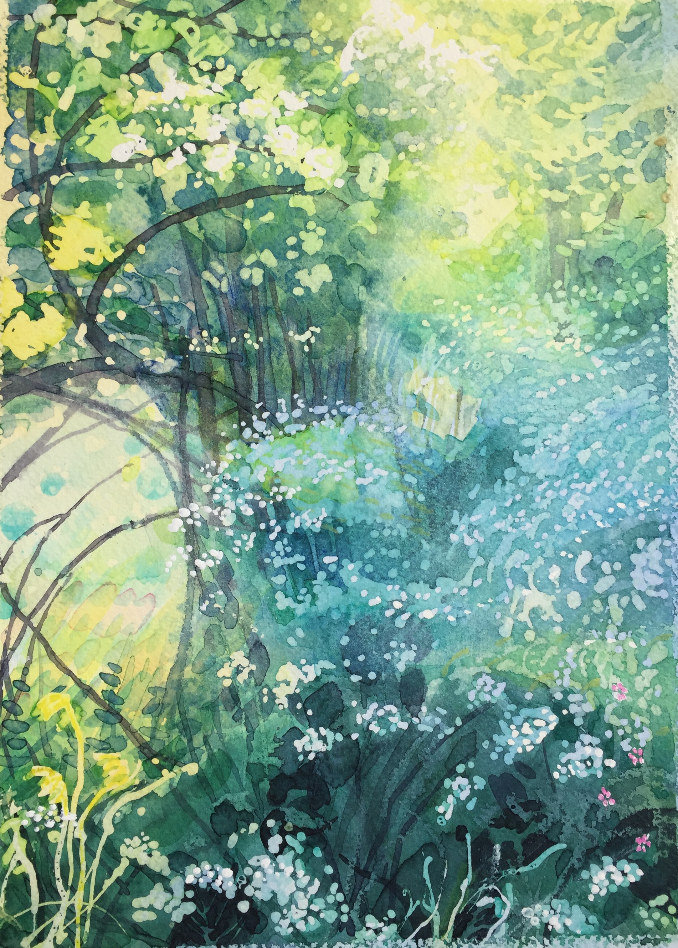 B867EF31-AE0B-44AB-8910-E13568BEFFE4_1_201_a