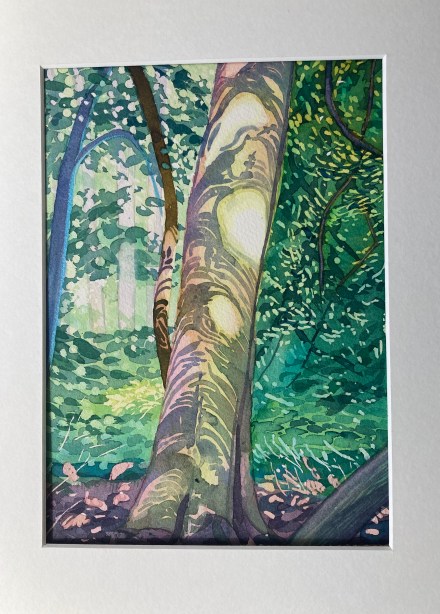 61E3988C-C262-4CF9-8704-F54F1885C0FD_1_201_a