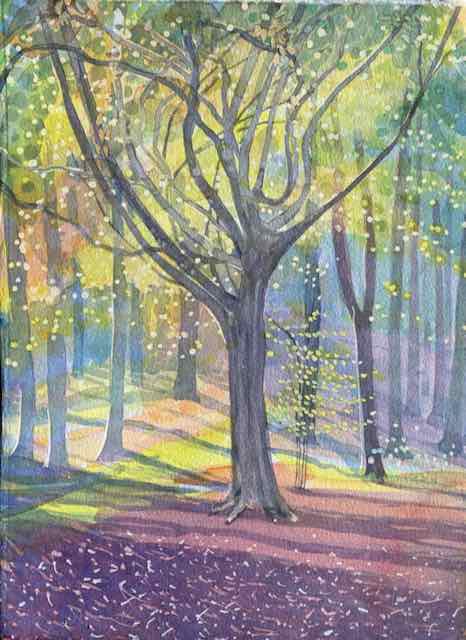 Autumn Light Paintings | Sophia Stewart - Liberty